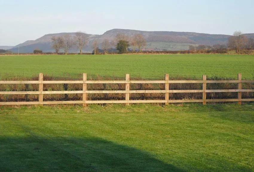Swan House Bed & Breakfast Northallerton